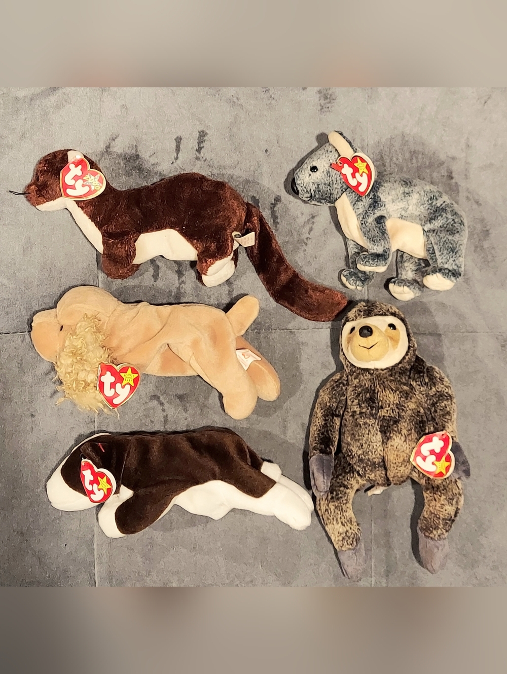 NWT TY TOYS RETIRED BEANIE BABY BUNDLE 5 BRUNO SPUNKY SLOWPOKE EUCALYPTUS RUNNER